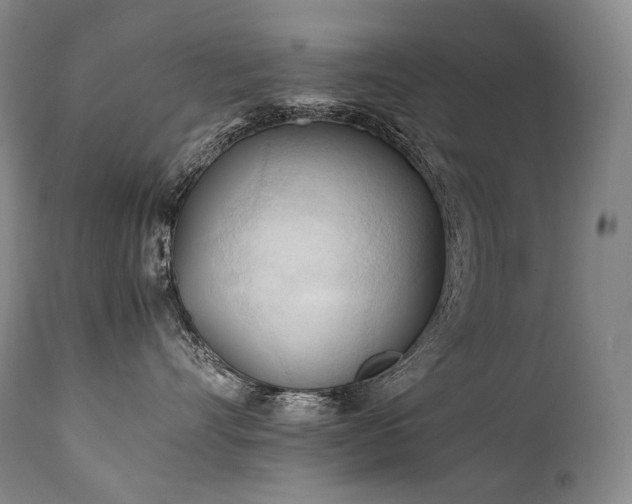 X0000111950528200907271439