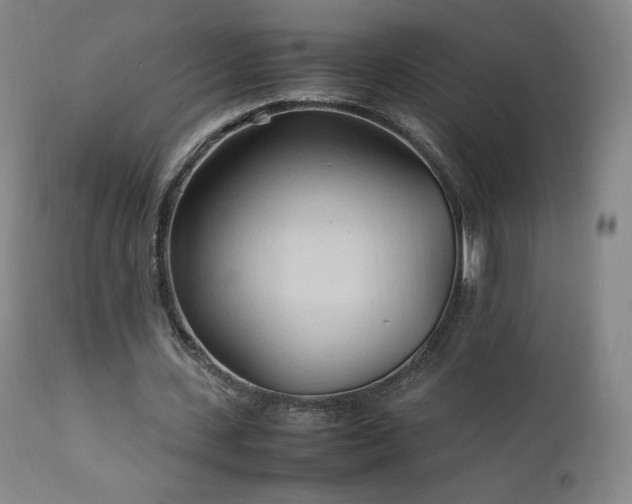 X0000111950531200907271439