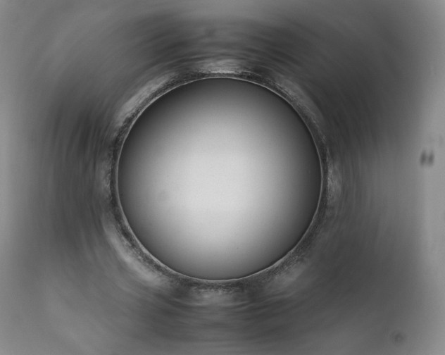 X0000111950533200907271439