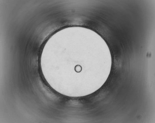 X0000111950534200907271439