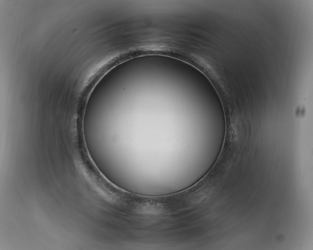 X0000111950535200907271439