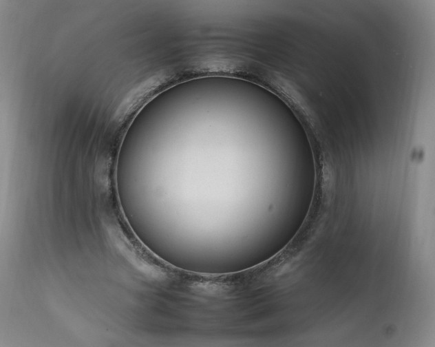 X0000111950537200907271439