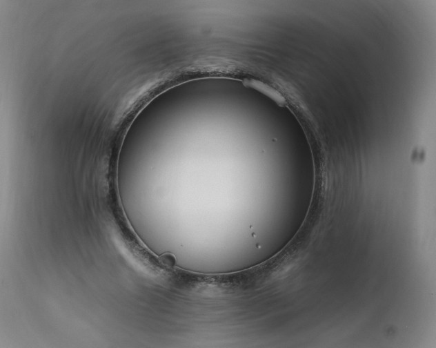 X0000111950538200907271439
