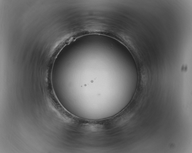X0000111950539200907271439