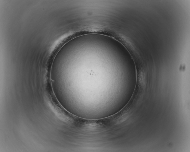 X0000111950540200907271439