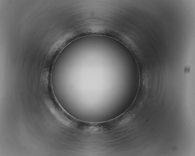 X0000111950542200907271439