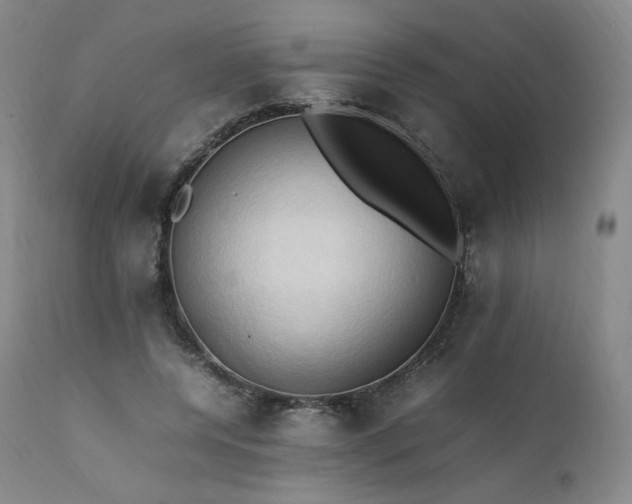 X0000111950544200907271439