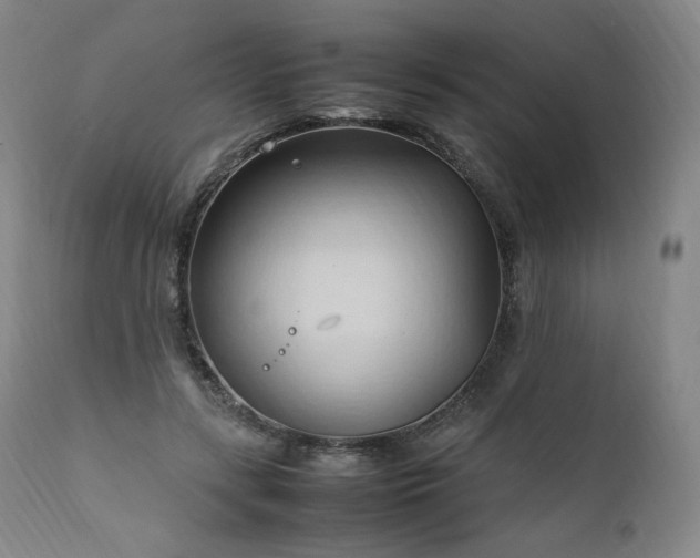X0000111950547200907271439