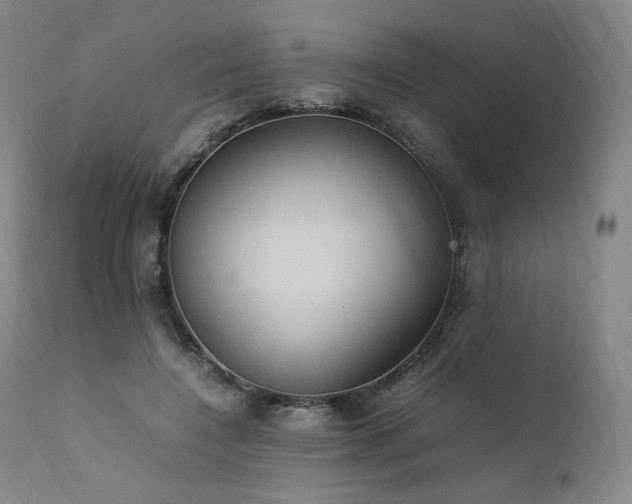 X0000111950548200907271439