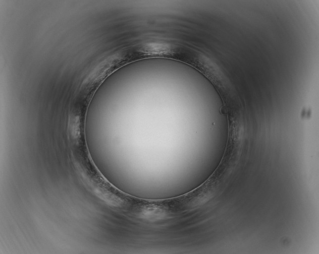 X0000111950549200907271439