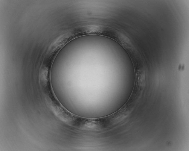 X0000111950550200907271439