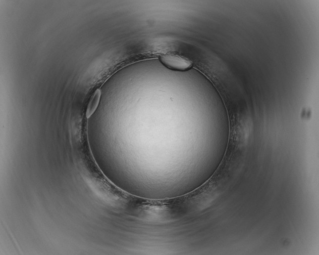 X0000111950552200907271439