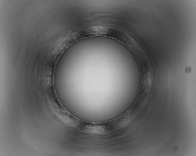 X0000111950553200907271439