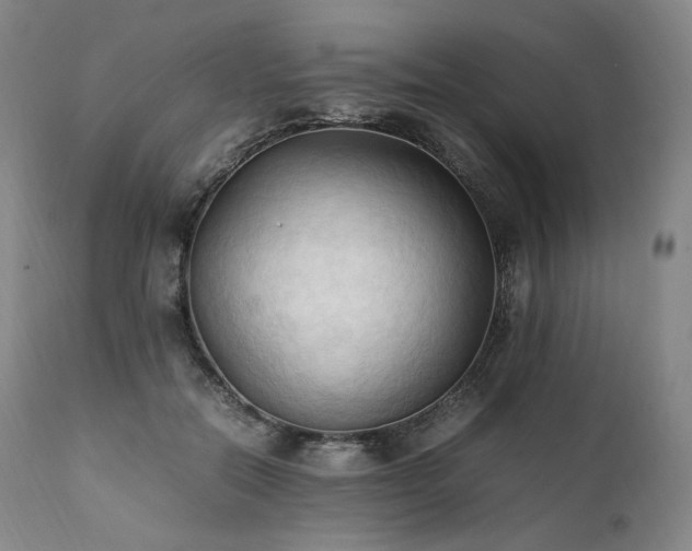 X0000111950554200907271439