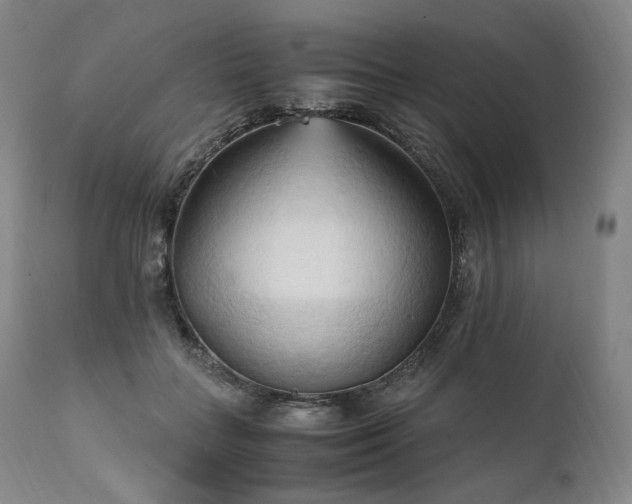 X0000111950555200907271439