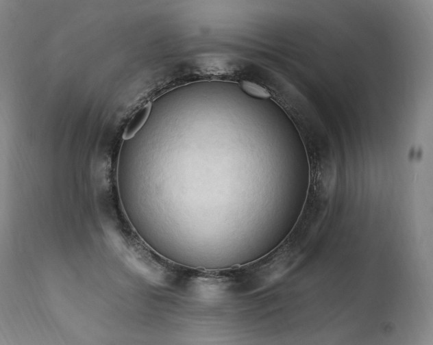 X0000111950556200907271439