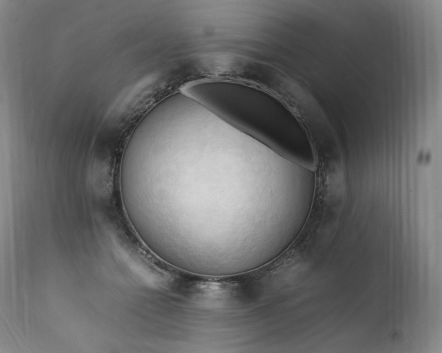 X0000111950558200907271439