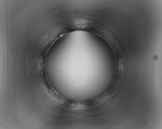 X0000111950559200907271439