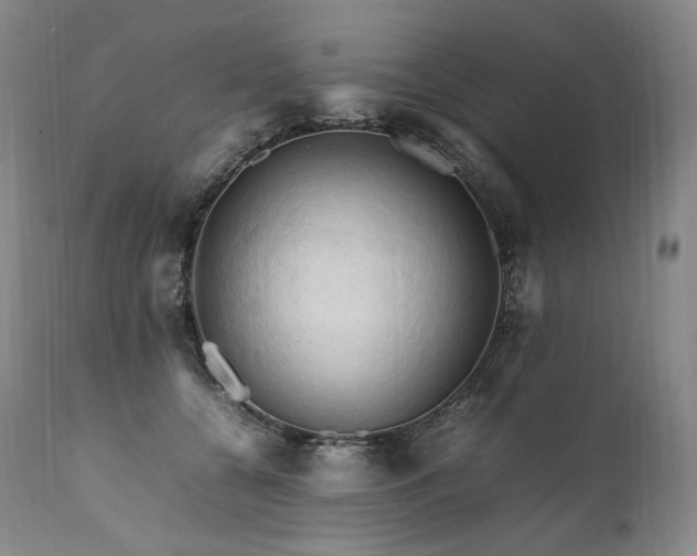X0000111950560200907271439