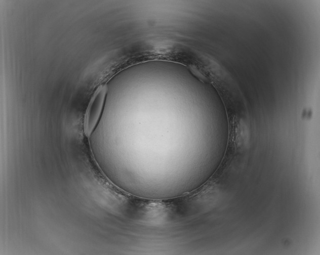 X0000111950562200907271439