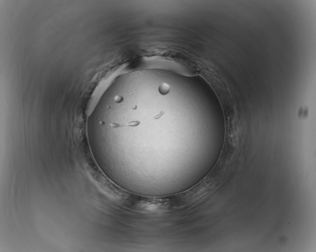 X0000111950563200907271439