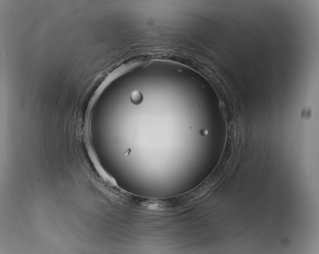 X0000111950564200907271439