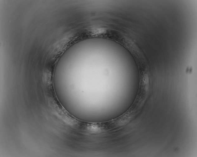 X0000111950565200907271439