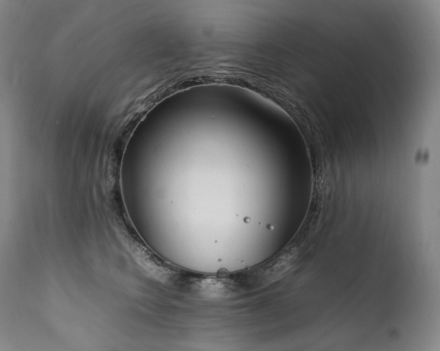 X0000111950566200907271439