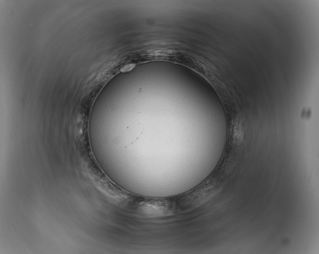 X0000111950567200907271439