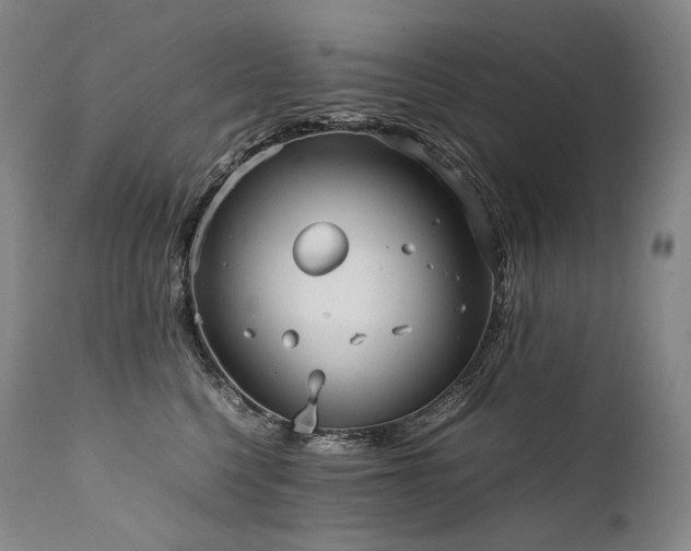 X0000111950568200907271439