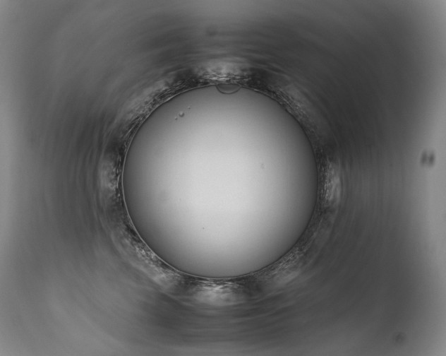 X0000111950569200907271439