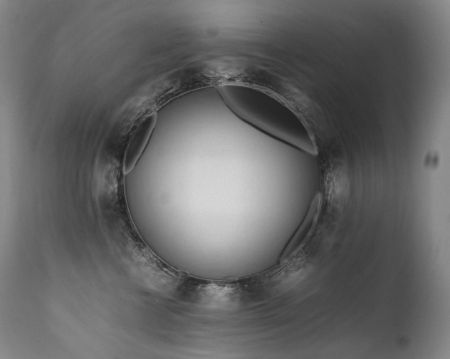 X0000111950570200907271439