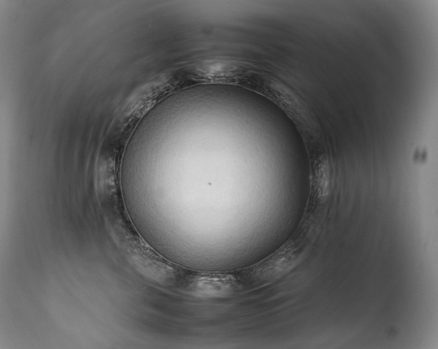X0000111950571200907271439