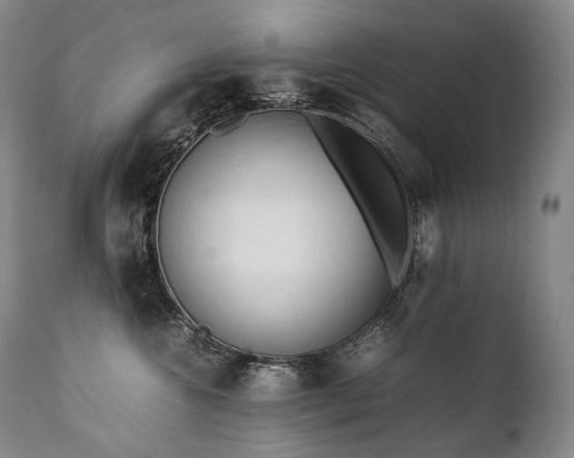 X0000111950572200907271439