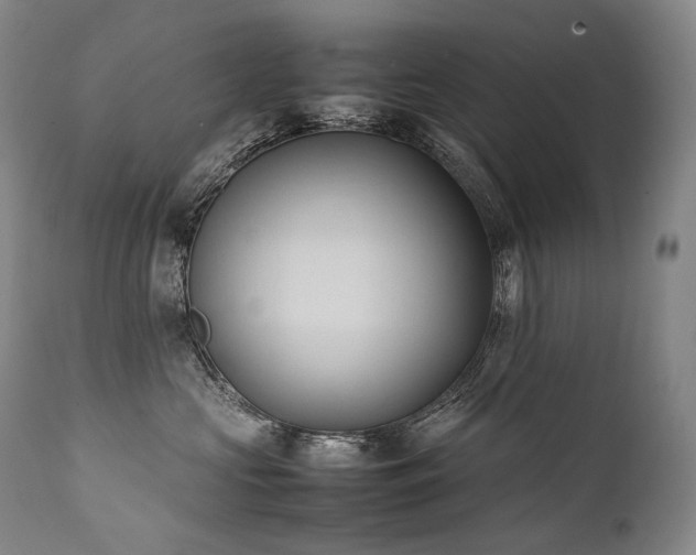 X0000111950573200907271439