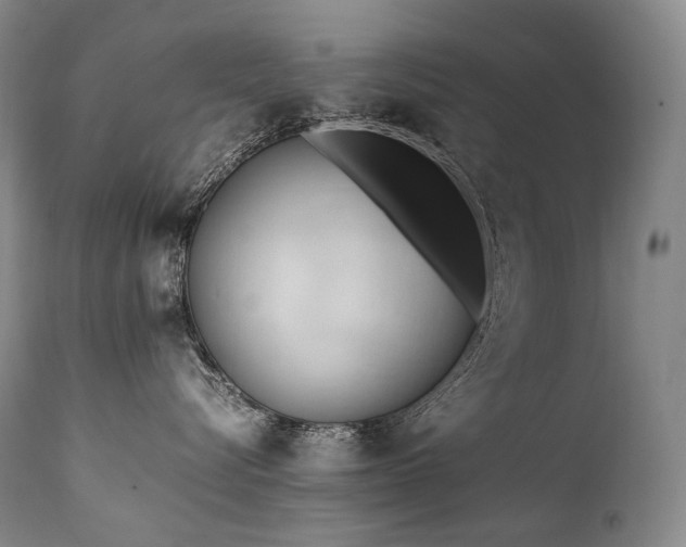 X0000111950576200907271439