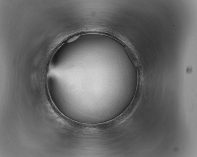 X0000111950577200907271439