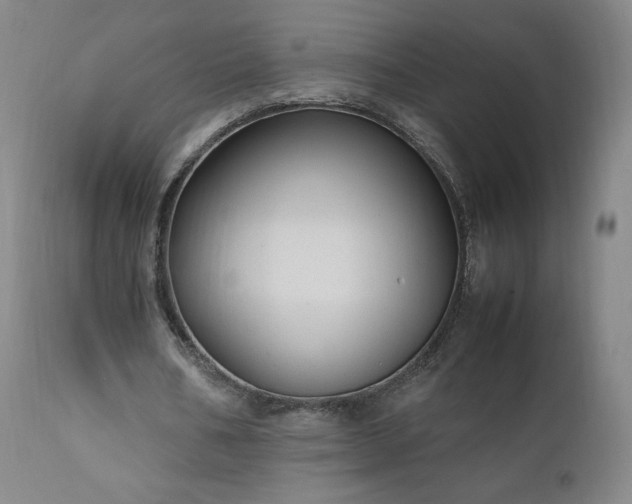 X0000111950578200907271439