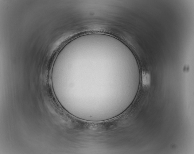 X0000111950579200907271439