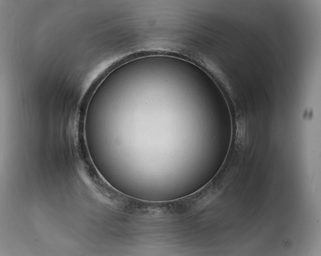 X0000111950580200907271439
