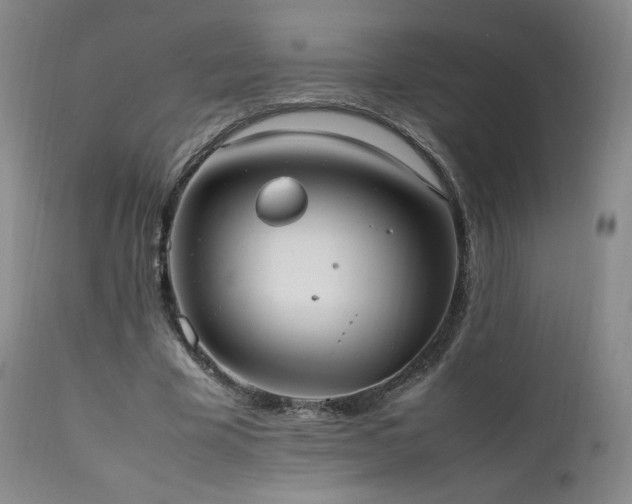 X0000111950585200907271439