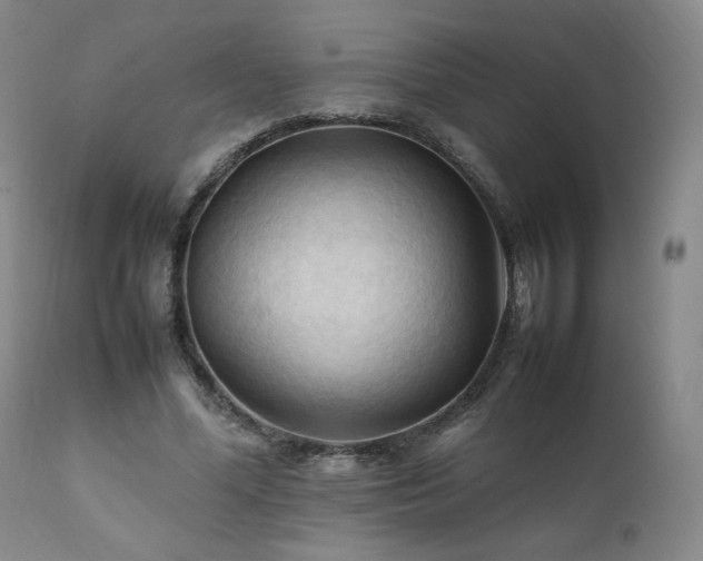 X0000111950588200907271439
