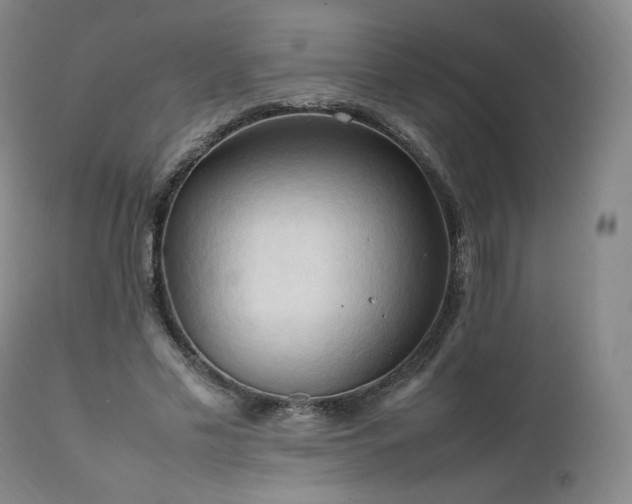X0000111950589200907271439