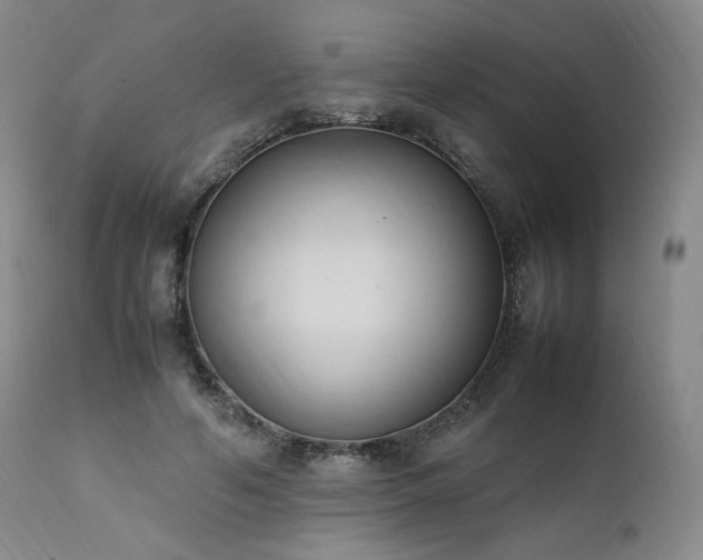 X0000111950594200907271439