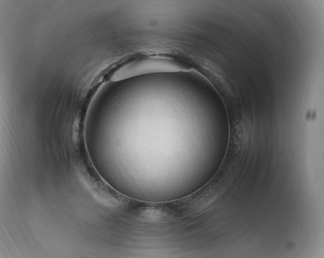 X0000111950596200907271439