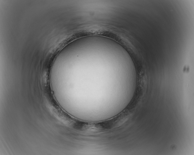 X0000111950597200907271439