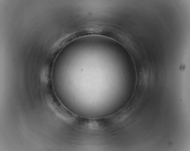 X0000111950600200907271438