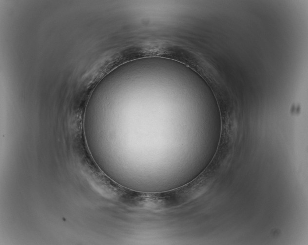 X0000111950601200907271438