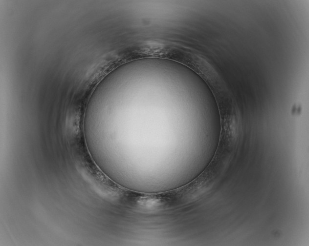 X0000111950602200907271438