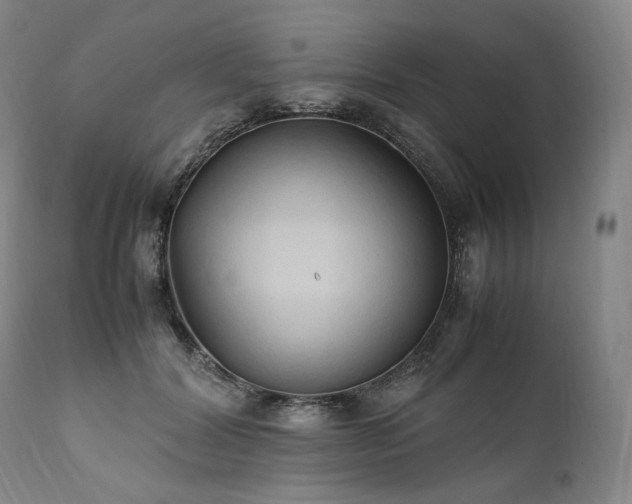 X0000111950604200907271438